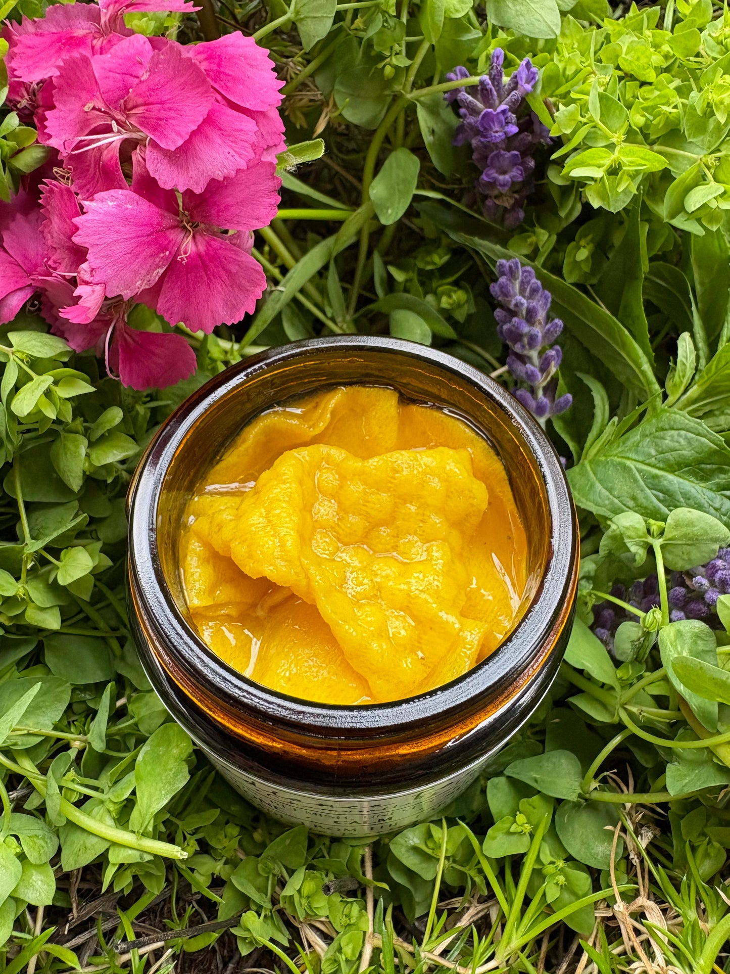 Radiance Face Pads with Chamomile + Turmeric