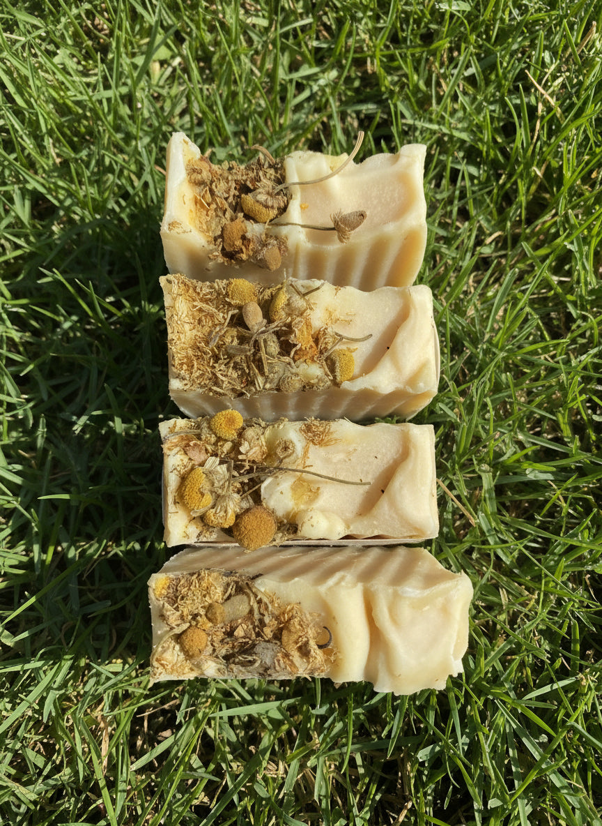 Organic Tallow Soap with Castor + Coconut Oil