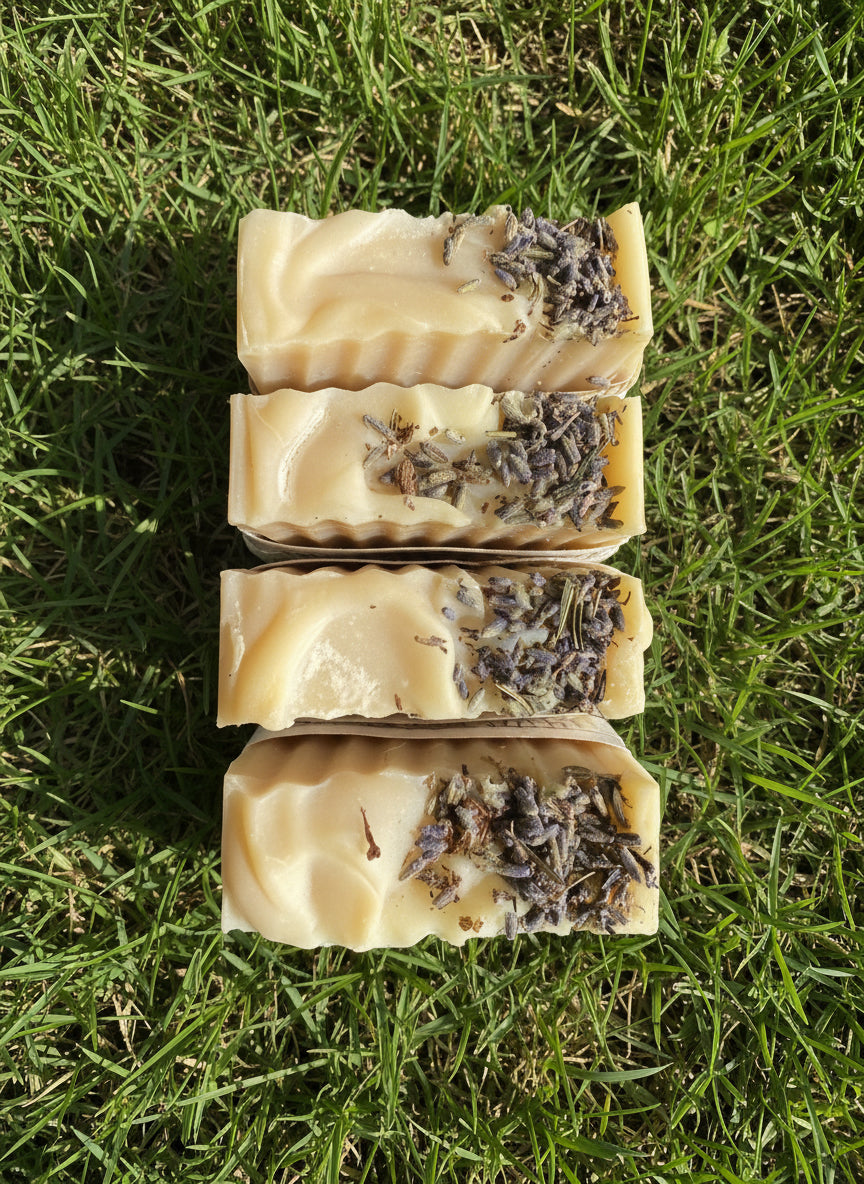 Organic Tallow Soap with Castor + Coconut Oil