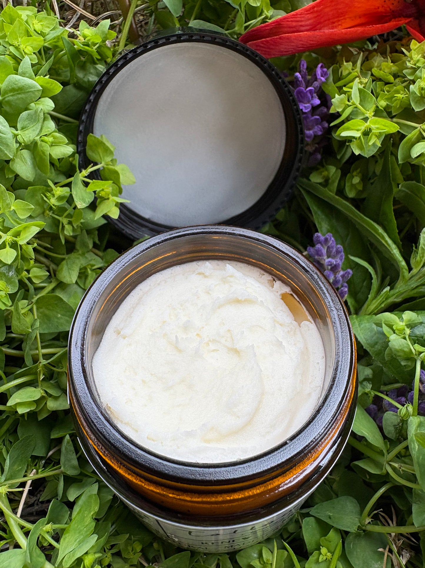 Tallow Face Balm with Organic Rosehip + Frankincense