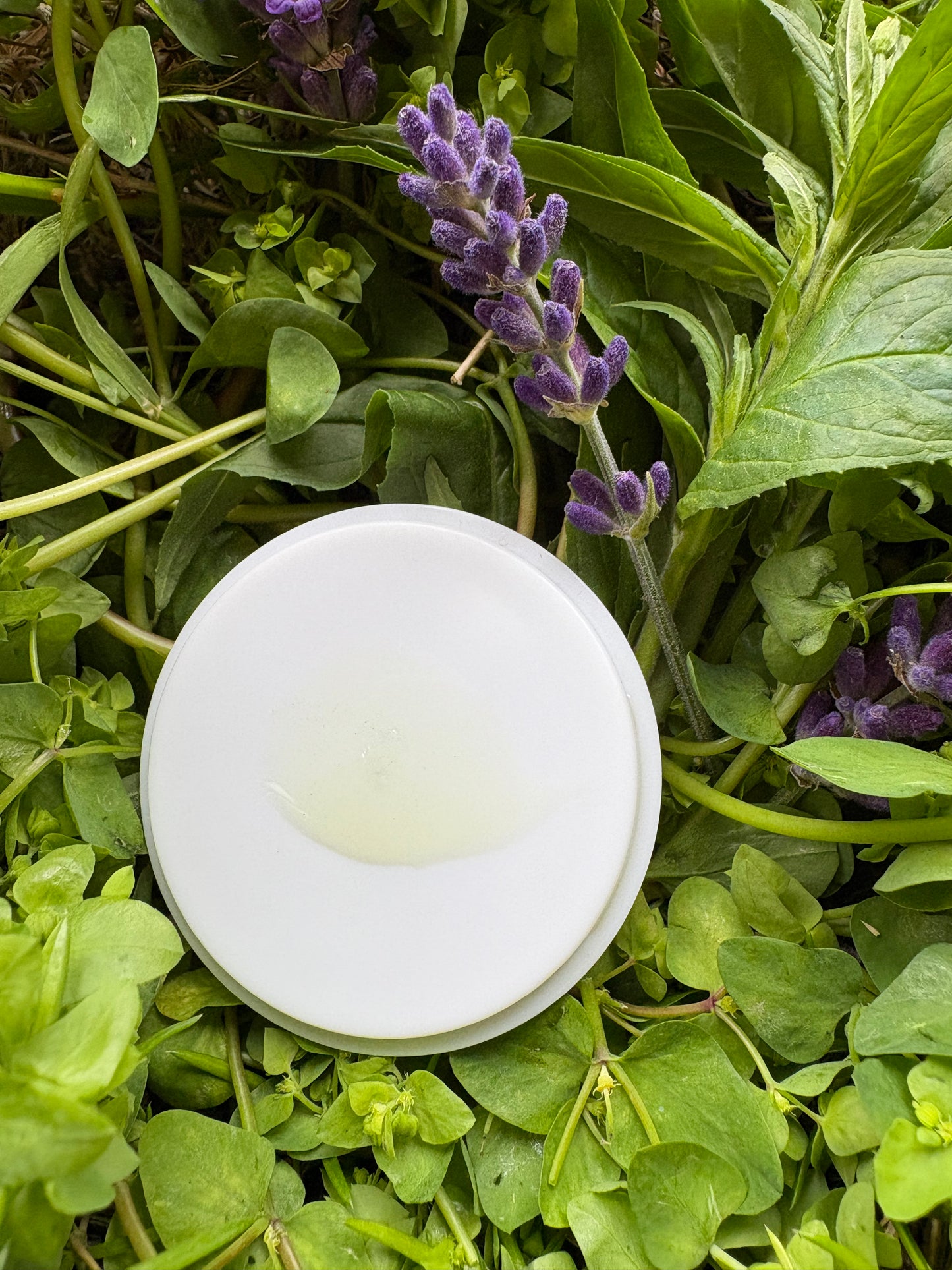 Mama's Milk Serum, Postpartum + Lactation Support