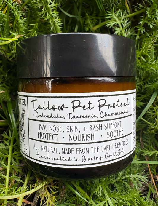 Organic Tallow Pet Protect with Calendula, Chamomile, + Turmeric